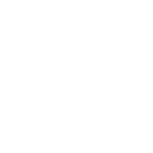 Multi-Platform Expertise